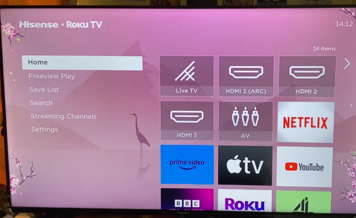 What Does Deleting an App on Roku Mean 1